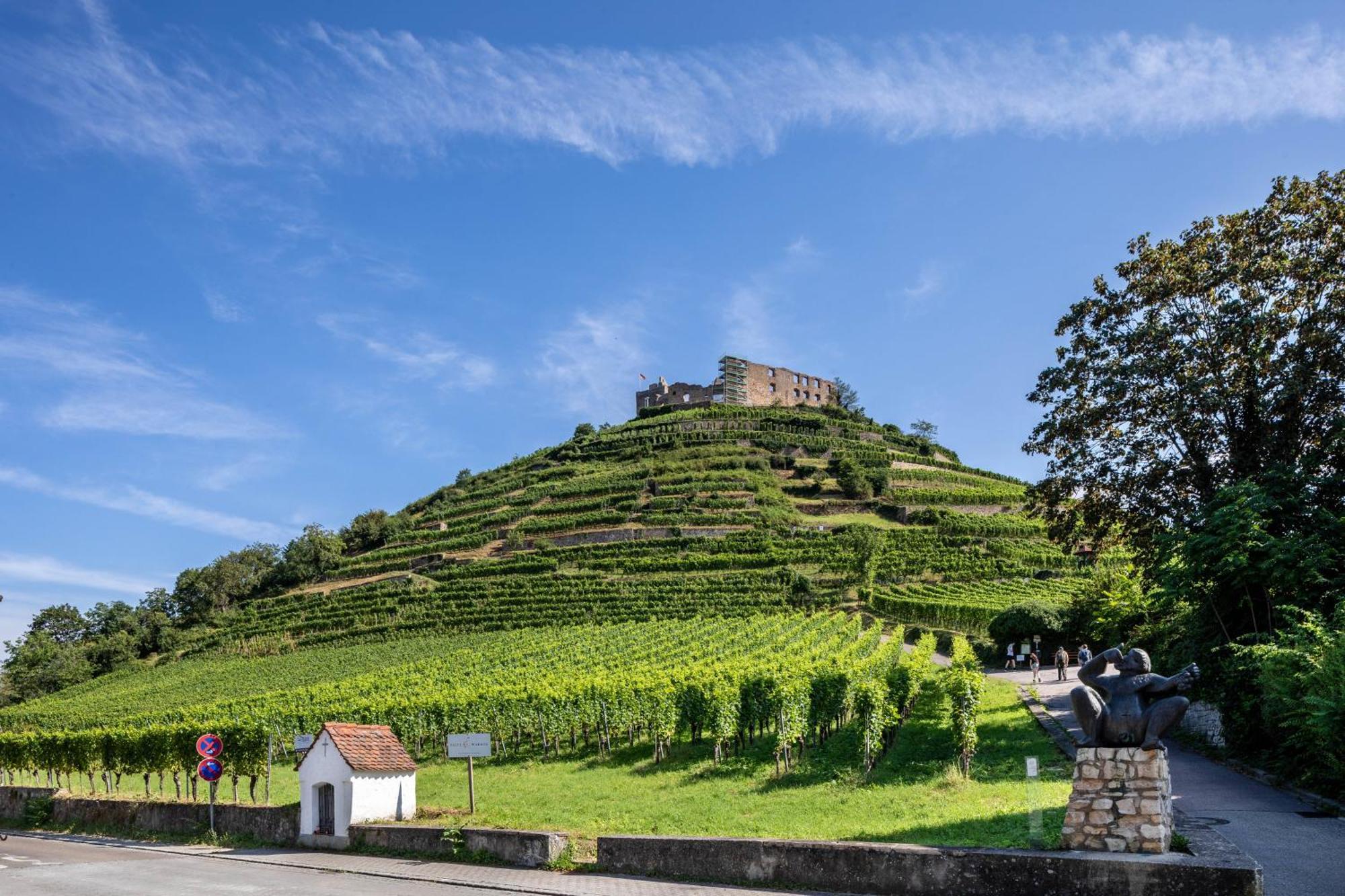 Ferienwohnung Am Neumagen Staufen im Breisgau Buitenkant foto